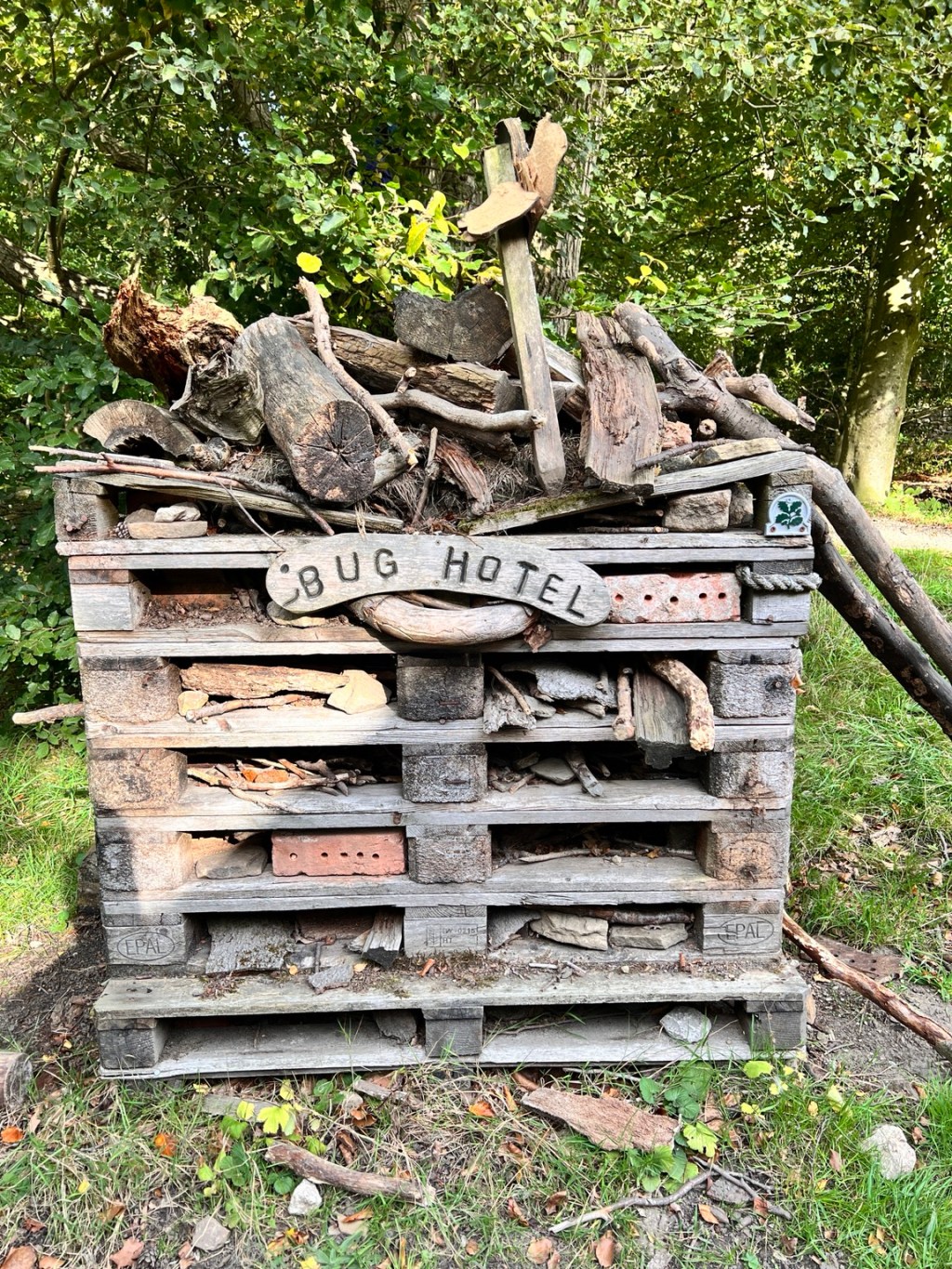 A bug hotel made from wooden pallets, branches and natural materials in woodland at Longshaw Estate.