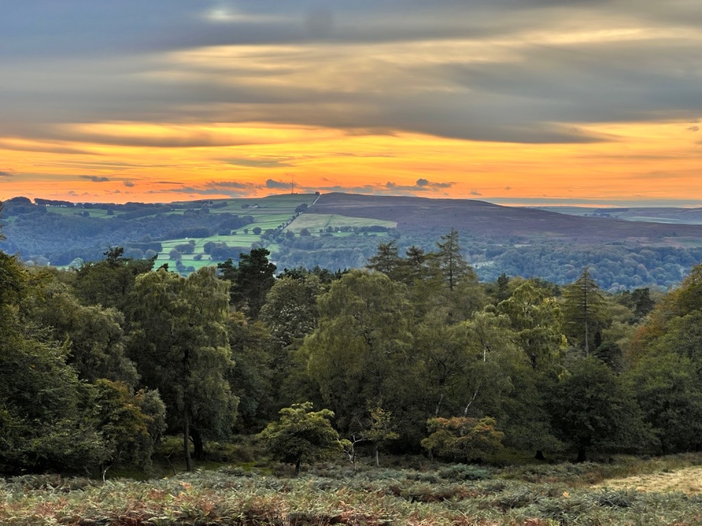 Layers of trees, fields and distant hills beneath an orange evening sky.