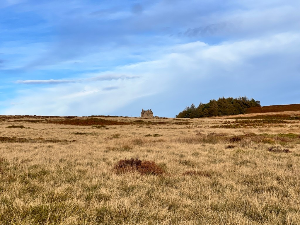 Golden grass and open moorland beneath a blue sky, with a stone building in the distance.