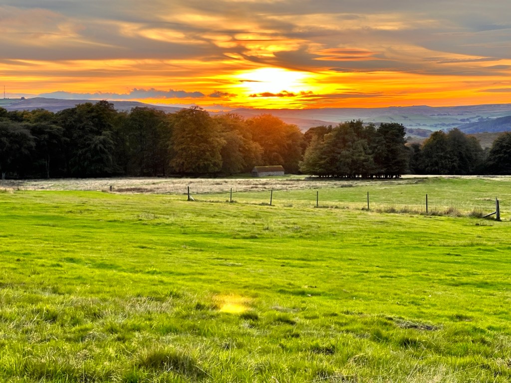 The setting sun glowing orange above trees and green fields at Longshaw Estate.